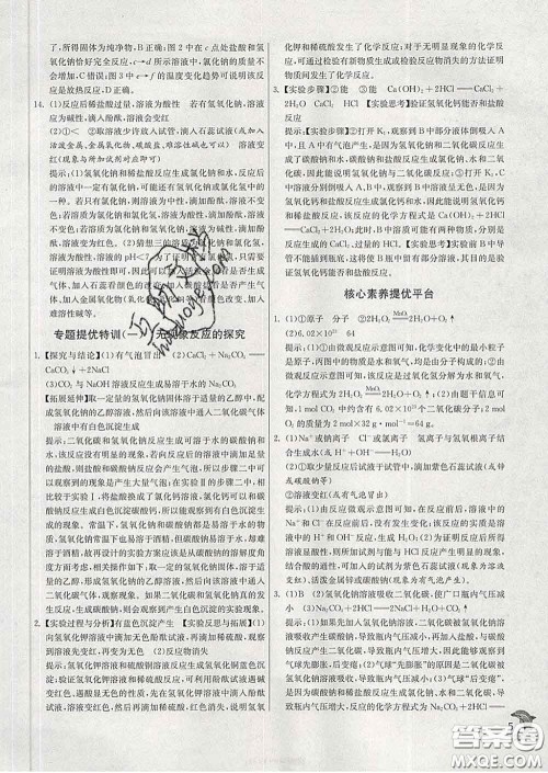 春雨教育2020春实验班提优训练九年级化学下册鲁教版答案