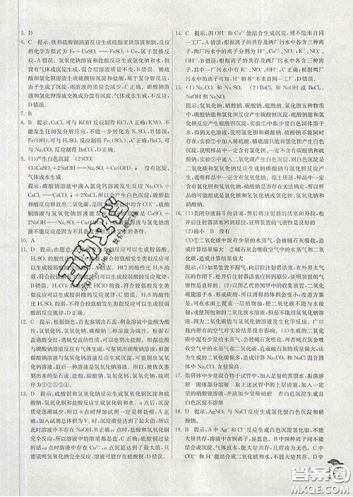 春雨教育2020春实验班提优训练九年级化学下册鲁教版答案