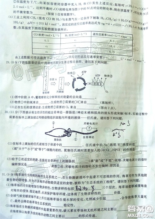 2020年高三甘青宁金太阳4月联考理科综合试题及答案