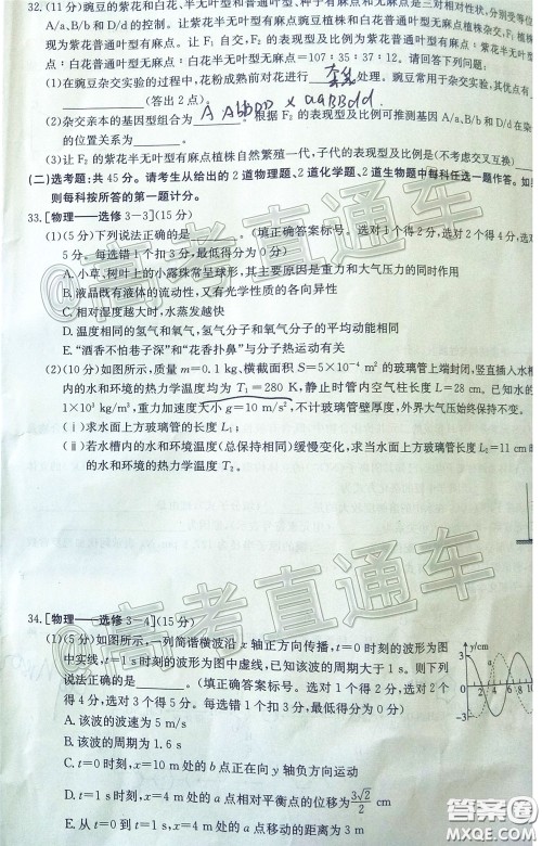 2020年高三甘青宁金太阳4月联考理科综合试题及答案 2020年高三甘青宁金太阳4月联考理科综合试题及答案