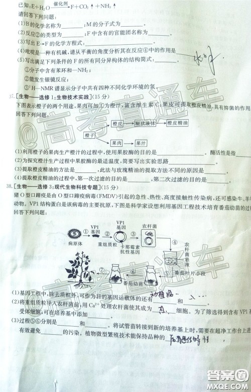 2020年高三甘青宁金太阳4月联考理科综合试题及答案 2020年高三甘青宁金太阳4月联考理科综合试题及答案