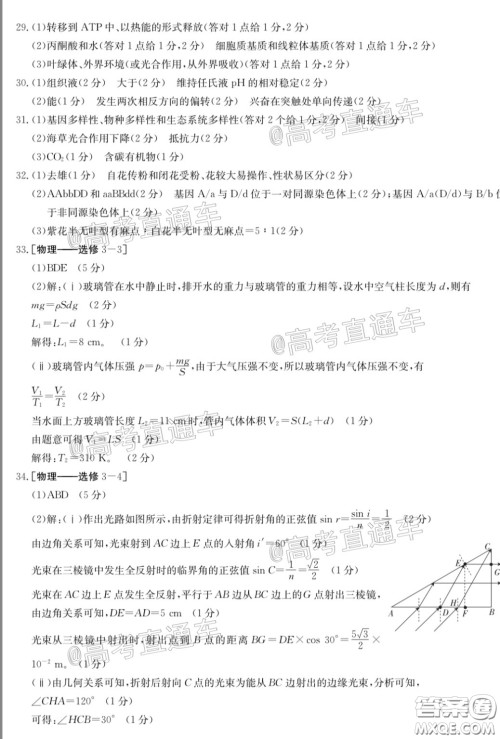 2020年高三甘青宁金太阳4月联考理科综合试题及答案 2020年高三甘青宁金太阳4月联考理科综合试题及答案