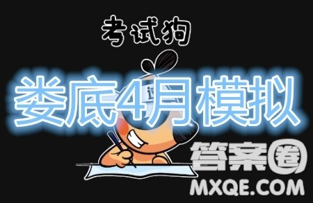 2020年娄底高三4月模拟考试语文试题及答案