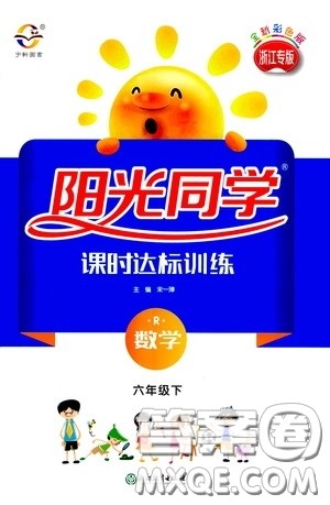 浙江教育出版社2020阳光同学课时达标训练六年级数学下册人教版浙江专版答案
