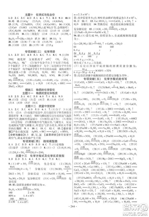 2020云南本土初中总复习掌控中考课外提升作业化学答案