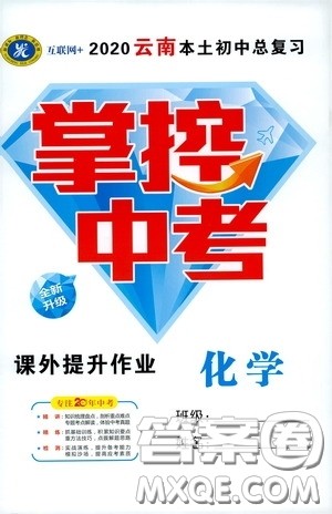 2020云南本土初中总复习掌控中考课外提升作业化学答案