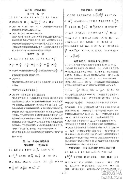 2020云南本土初中总复习掌控中考课外提升作业数学答案