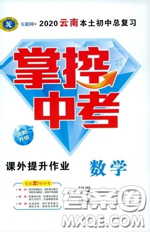 2020云南本土初中总复习掌控中考课外提升作业数学答案