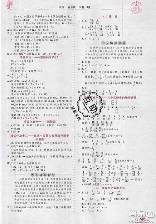 2020新版王朝霞德才兼备作业创新设计五年级数学下册人教版答案