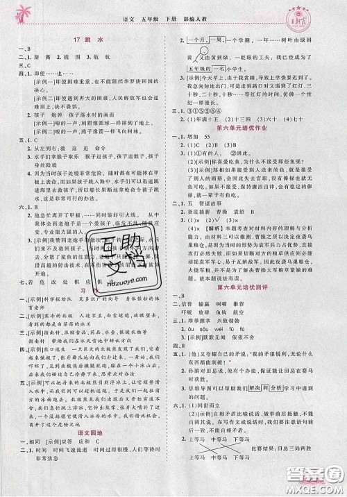 2020新版王朝霞德才兼备作业创新设计五年级语文下册人教版答案 2020新版王朝霞德才兼备作业创新设计五年级语文下册人教版答案