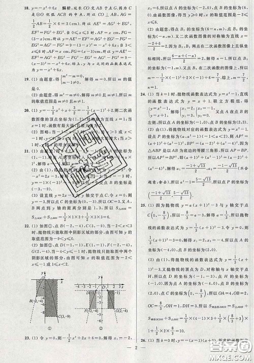 新世纪出版社2020春亮点给力大试卷九年级数学下册答案