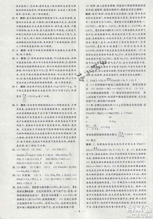 新世纪出版社2020春亮点给力大试卷九年级化学下册答案