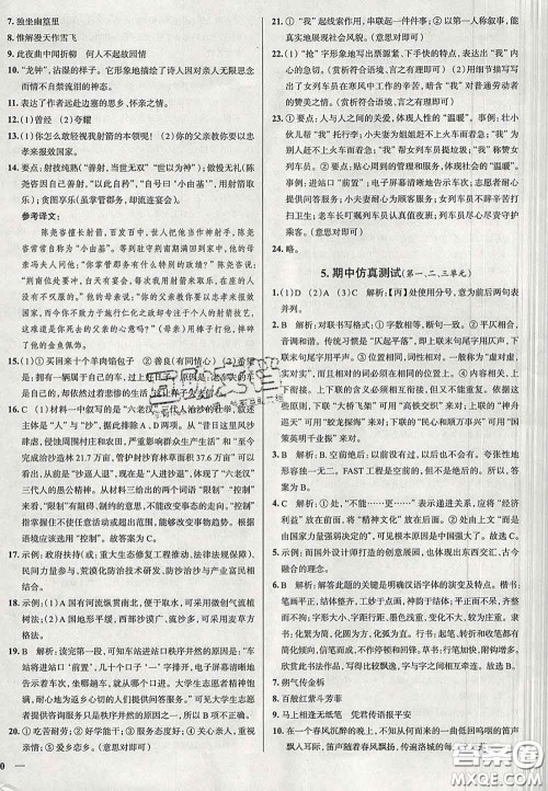 2020新版真题圈北京考生专用练考试卷七年级语文下册答案 2020新版真题圈北京考生专用练考试卷七年级语文下册答案