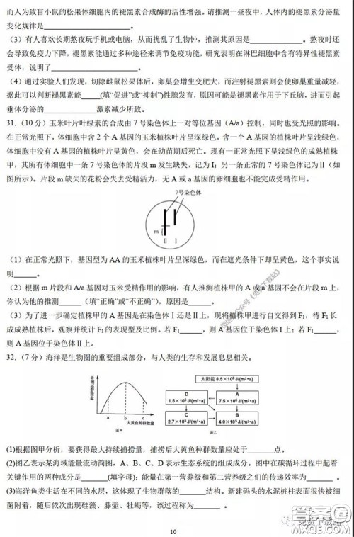 襄阳四中2020届高三下学期5月第一次周考理科综合试题及答案