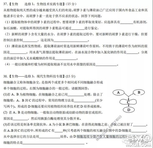 襄阳四中2020届高三下学期5月第一次周考理科综合试题及答案 襄阳四中2020届高三下学期5月第一次周考理科综合试题及答案