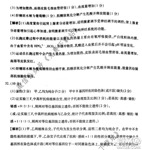 百师联盟2020届高三冲刺考四全国卷理科综合试题及答案 百师联盟2020届高三冲刺考四全国卷理科综合试题及答案