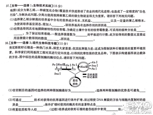 2020年湖南金太阳高三5月联考理科综合试题及答案