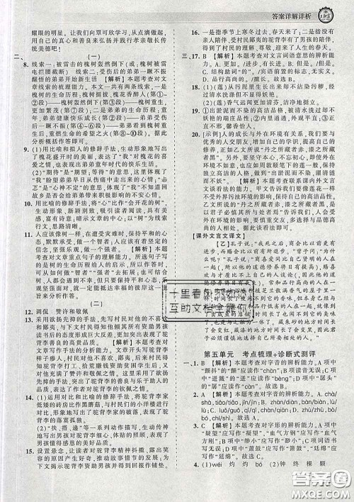 2020新版王朝霞考点梳理时习卷七年级语文下册人教版答案 2020新版王朝霞考点梳理时习卷七年级语文下册人教版答案