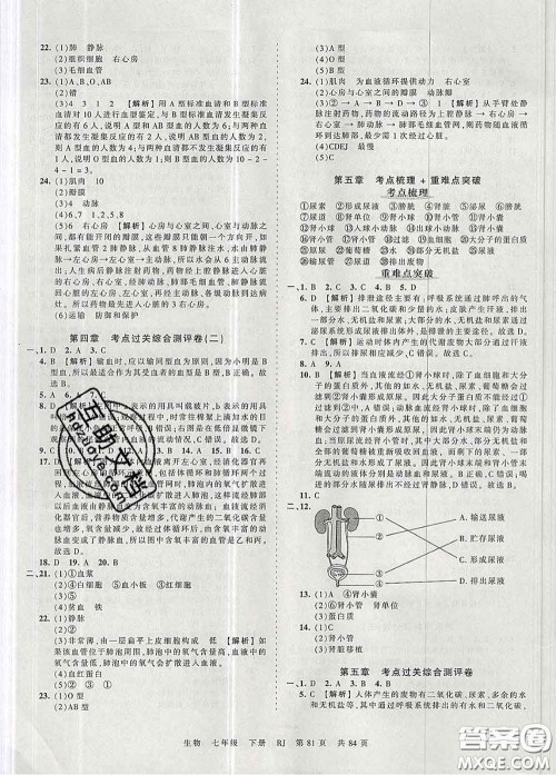 2020新版王朝霞考点梳理时习卷七年级生物下册人教版答案 2020新版王朝霞考点梳理时习卷七年级生物下册人教版答案