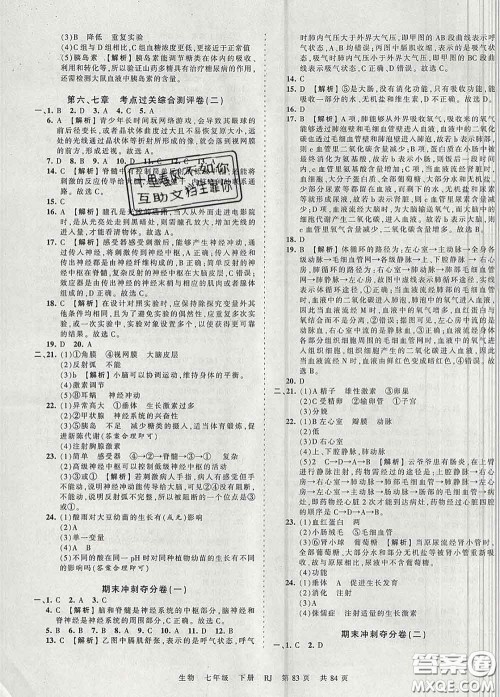 2020新版王朝霞考点梳理时习卷七年级生物下册人教版答案 2020新版王朝霞考点梳理时习卷七年级生物下册人教版答案
