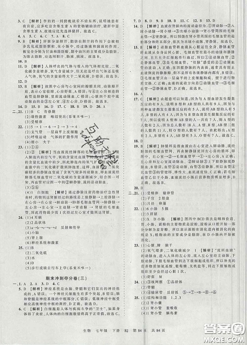 2020新版王朝霞考点梳理时习卷七年级生物下册人教版答案 2020新版王朝霞考点梳理时习卷七年级生物下册人教版答案