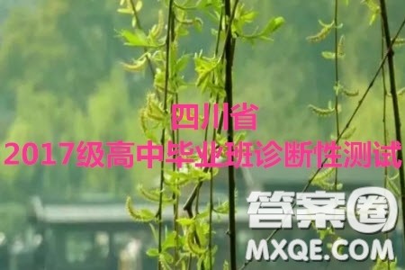 四川省2017级高中毕业班诊断性测试理科综合答案 四川省2017级高中毕业班诊断性测试理科综合答案