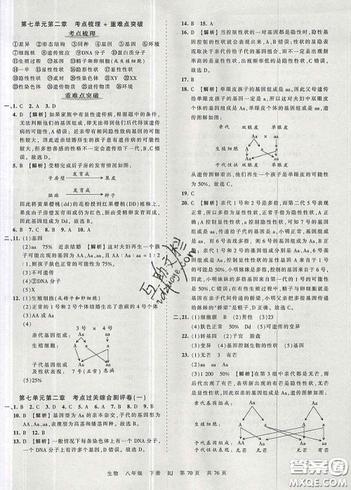 2020新版王朝霞考点梳理时习卷八年级生物下册人教版答案 2020新版王朝霞考点梳理时习卷八年级生物下册人教版答案
