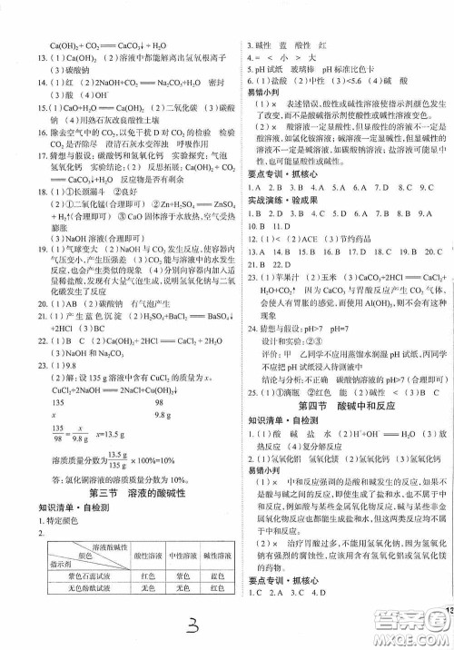 2020智学岛四维文化中考档案初中同步学案导学九年级化学下册青岛专用答案