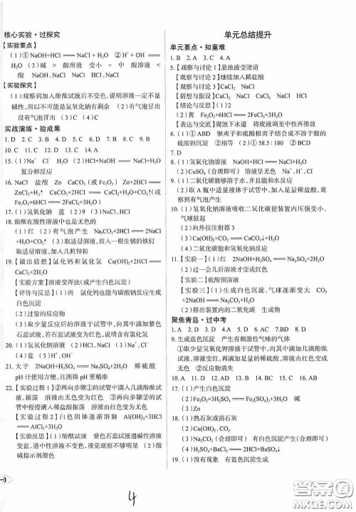 2020智学岛四维文化中考档案初中同步学案导学九年级化学下册青岛专用答案