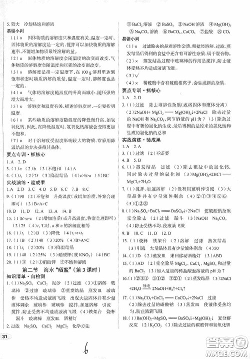 2020智学岛四维文化中考档案初中同步学案导学九年级化学下册青岛专用答案