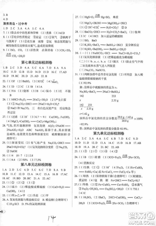 2020智学岛四维文化中考档案初中同步学案导学九年级化学下册青岛专用答案