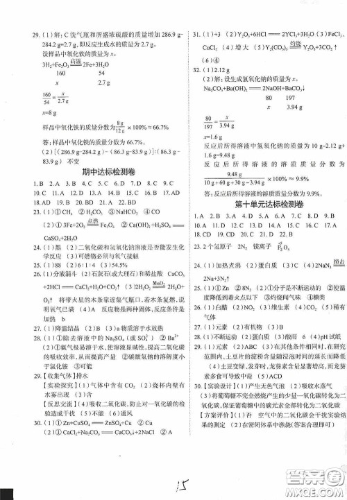 2020智学岛四维文化中考档案初中同步学案导学九年级化学下册青岛专用答案