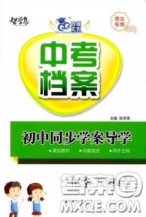 2020智学岛四维文化中考档案初中同步学案导学九年级化学下册青岛专用答案