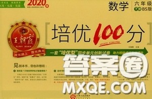2020年王朝霞培优100分数学六年级下册BS北师版参考答案