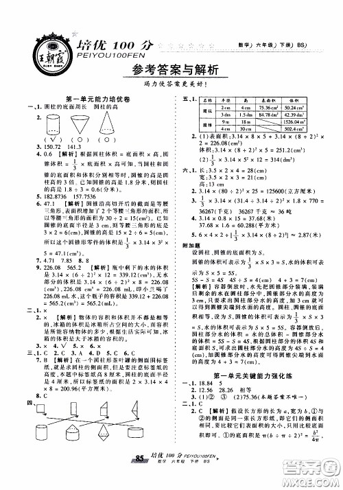 2020年王朝霞培优100分数学六年级下册BS北师版参考答案
