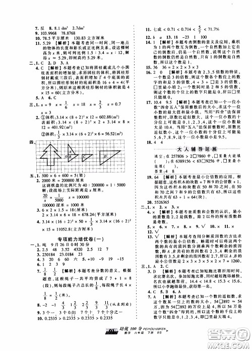 2020年王朝霞培优100分数学六年级下册BS北师版参考答案