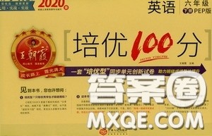 2020年王朝霞培优100分英语六年级下册PEP人教版参考答案 2020年王朝霞培优100分英语六年级下册PEP人教版参考答案