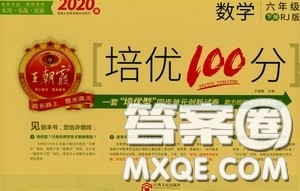 2020年王朝霞培优100分数学六年级下册RJ人教版参考答案