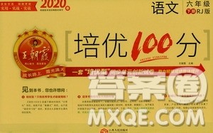 2020年王朝霞培优100分语文六年级下册RJ人教版参考答案