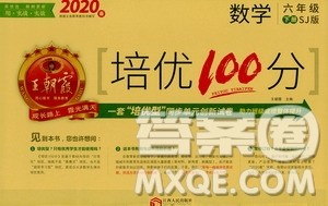 2020年王朝霞培优100分数学六年级下册SJ苏教版参考答案 2020年王朝霞培优100分数学六年级下册SJ苏教版参考答案