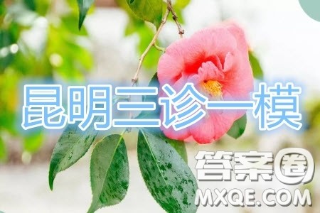 昆明市2020届三诊一模高三复习教学质量检测语文试题及答案 昆明市2020届三诊一模高三复习教学质量检测语文试题及答案