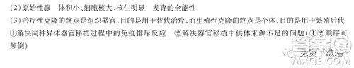 天一大联考2019-2020学年高中毕业班阶段性测试五理科综合试题及答案