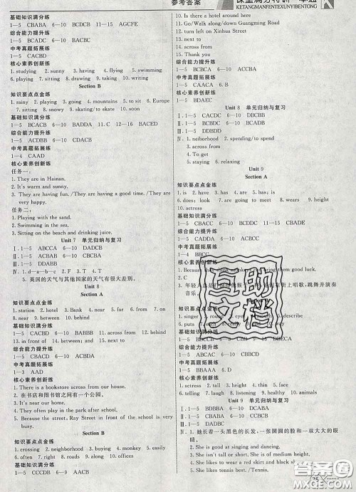 2020新版赢在课堂课堂满分特训一本通七年级英语下册人教版答案 2020新版赢在课堂课堂满分特训一本通七年级英语下册人教版答案