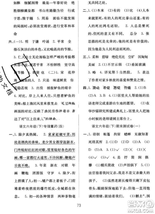 希望出版社2020春全程检测单元测试卷六年级语文下册A版答案