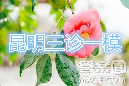昆明市2020届三诊一模高三复习教学质量检测英语答案 昆明市2020届三诊一模高三复习教学质量检测英语答案