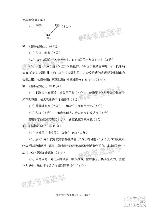 2020年武汉市部分学校高三在线学习摸底检测理科综合试题及答案 2020年武汉市部分学校高三在线学习摸底检测理科综合试题及答案