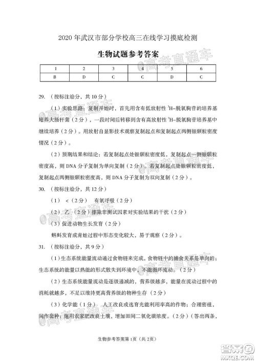 2020年武汉市部分学校高三在线学习摸底检测理科综合试题及答案