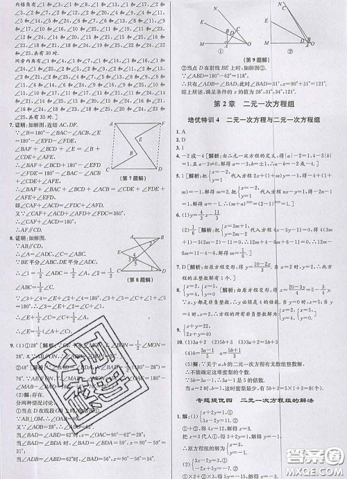 浙江人民出版社2020春优+攻略七年级数学下册浙教版答案