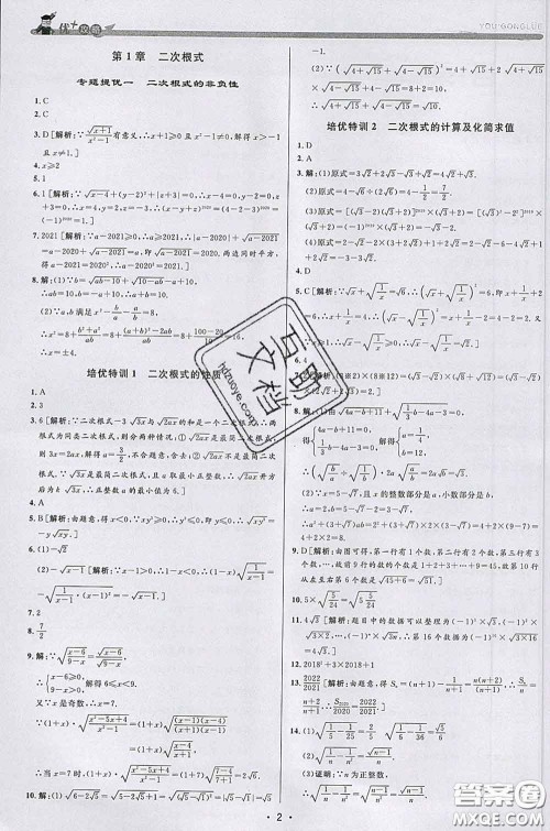浙江人民出版社2020春优+攻略八年级数学下册浙教版答案