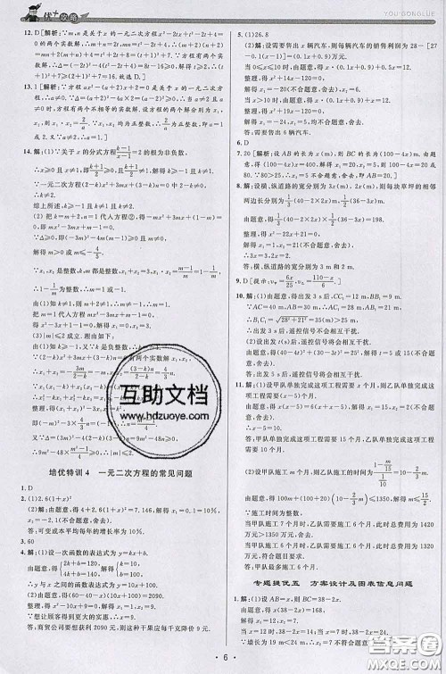 浙江人民出版社2020春优+攻略八年级数学下册浙教版答案